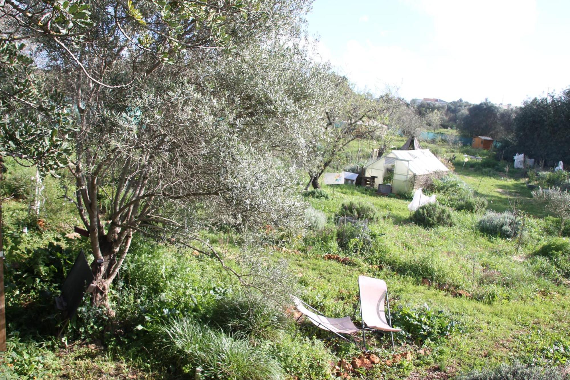 Tiny House Eco Resort Estevais Bagian luar foto